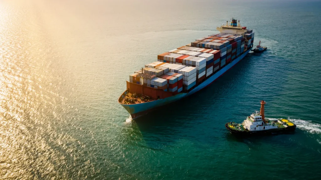 What is Merchant Navy