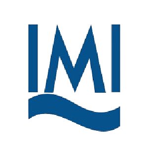 International Maritime Institute