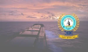 What-is-DG-Shipping-Purpose-Role-Impact