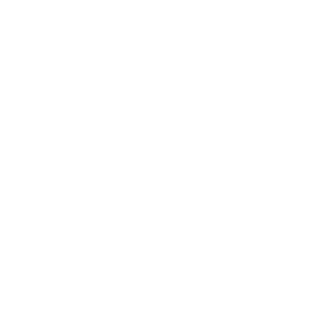 DELTA CORP