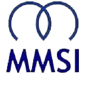 MMS Maritime (India) Pvt. Ltd.